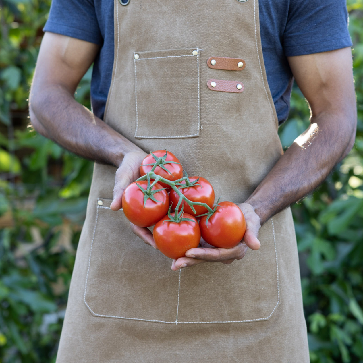 A person holding freshly harvested tomatoes.